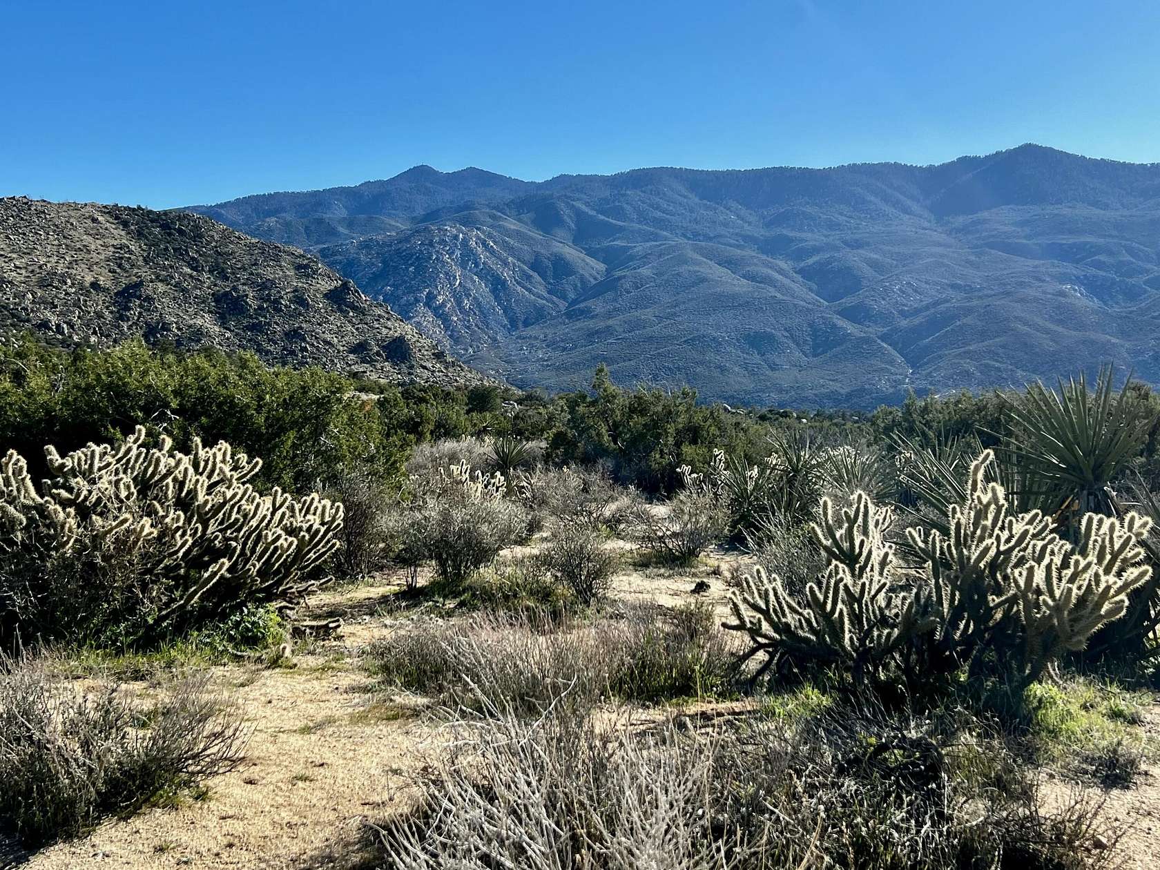 1 Acre of Land for Sale in Mountain Center, California