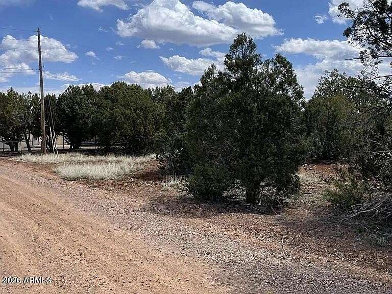 0.26 Acres of Residential Land for Sale in Show Low, Arizona