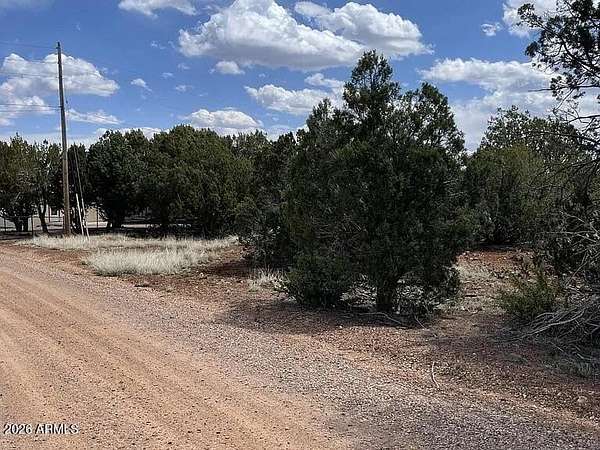 0.26 Acres of Residential Land for Sale in Show Low, Arizona