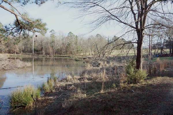 40 Acres of Land for Sale in Gilmer, Texas