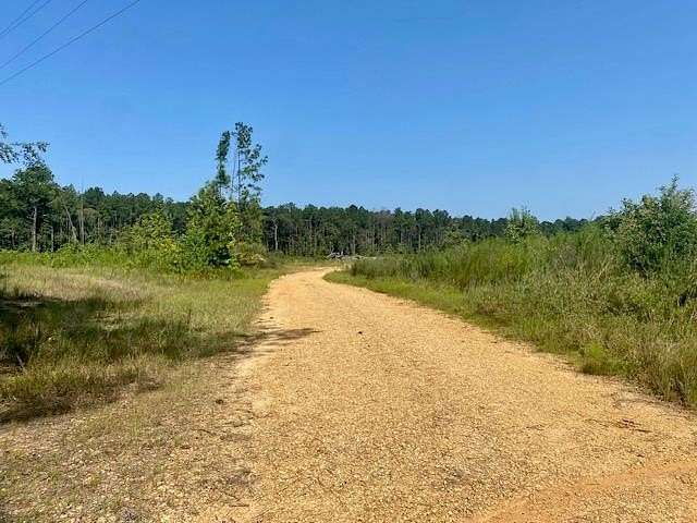 40 Acres of Land for Sale in Summit, Mississippi
