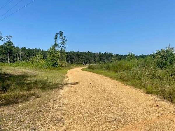 40 Acres of Land for Sale in Summit, Mississippi