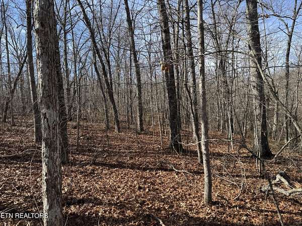 1.1 Acres of Residential Land for Sale in Monterey, Tennessee