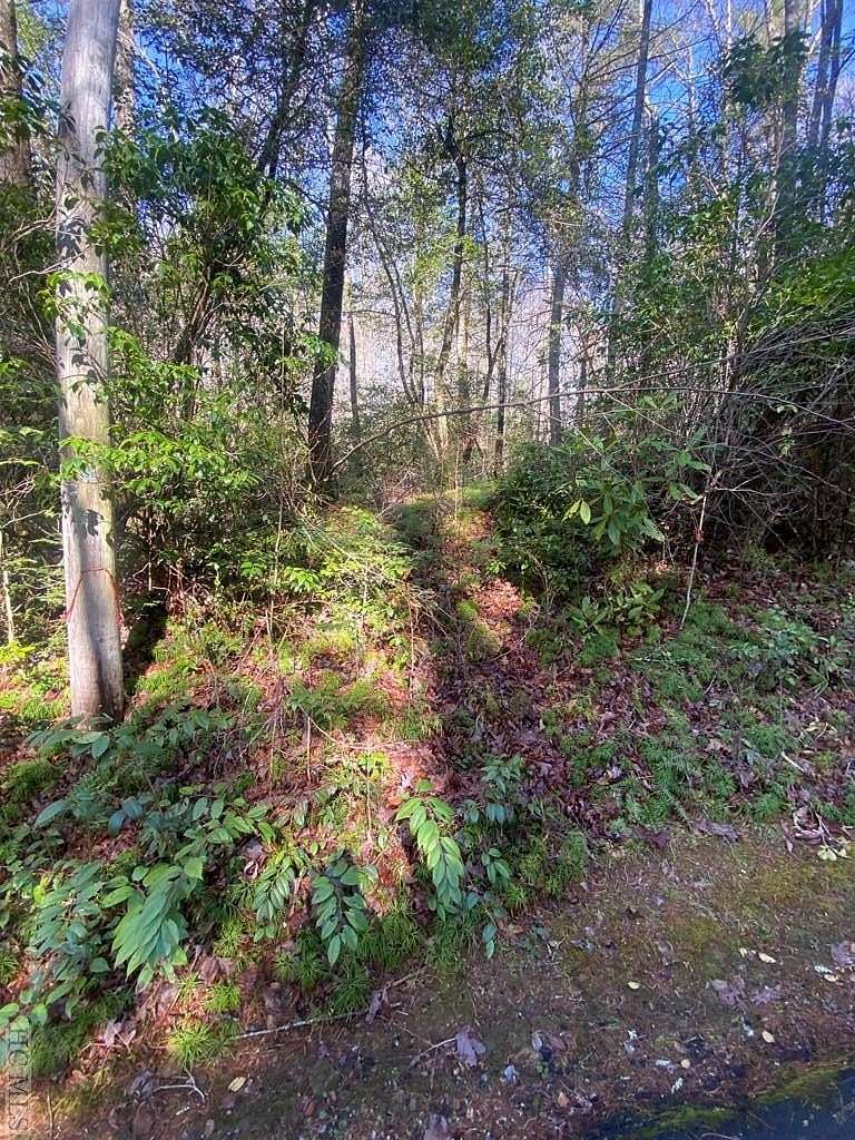 0.65 Acres of Residential Land for Sale in Sapphire, North Carolina