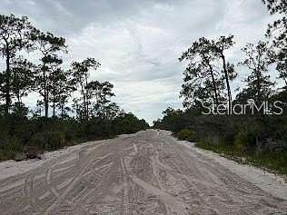 1 Acre of Residential Land for Sale in Sebring, Florida