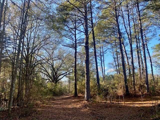 21.8 Acres of Recreational & Residential Land for Sale in McComb, Mississippi