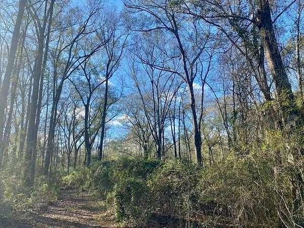 21.8 Acres of Land for Sale in McComb, Mississippi