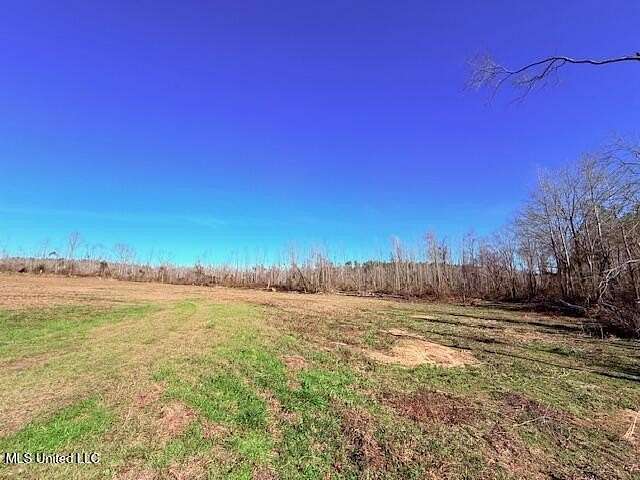 26 Acres of Recreational Land for Sale in Tylertown, Mississippi