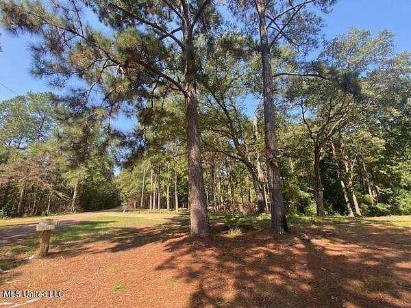 16.7 Acres of Recreational Land for Sale in Magnolia, Mississippi