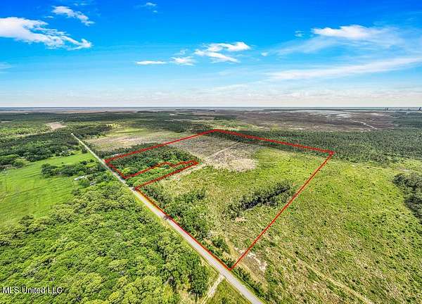 42.5 Acres of Recreational Land for Sale in Moss Point, Mississippi