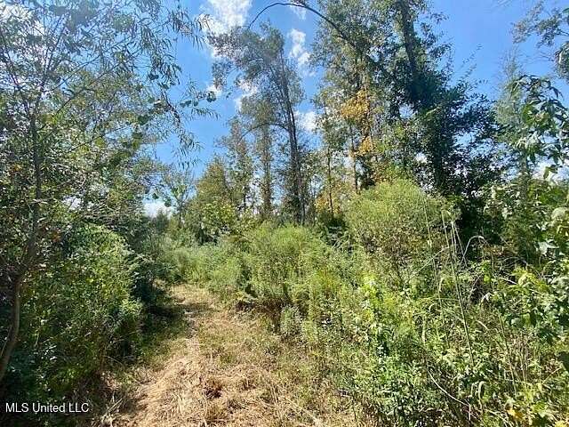 64.3 Acres of Recreational & Residential Land for Sale in Magnolia, Mississippi