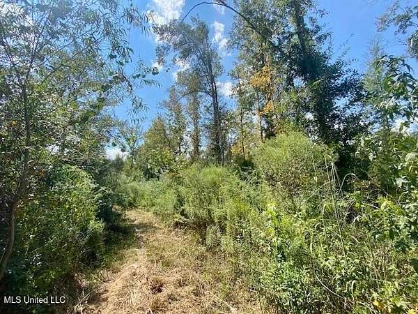 64.3 Acres of Recreational & Residential Land for Sale in Magnolia, Mississippi