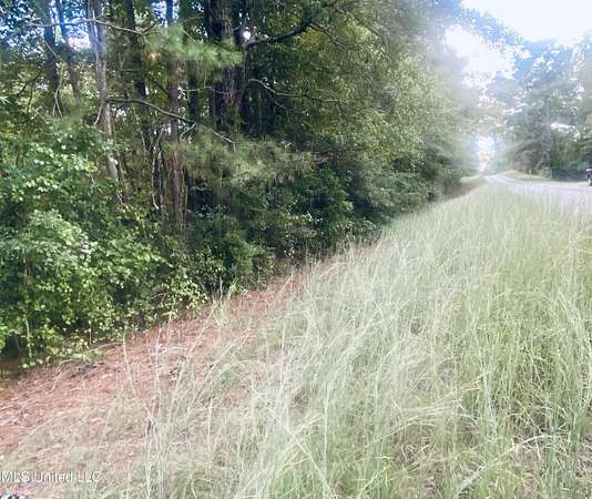 7.4 Acres of Residential Land for Sale in New Hebron, Mississippi