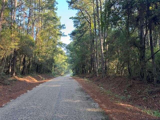 8.7 Acres of Land for Sale in Tylertown, Mississippi