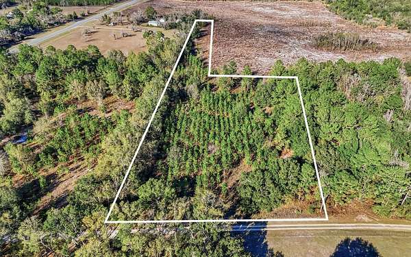 7 Acres of Land for Sale in Live Oak, Florida