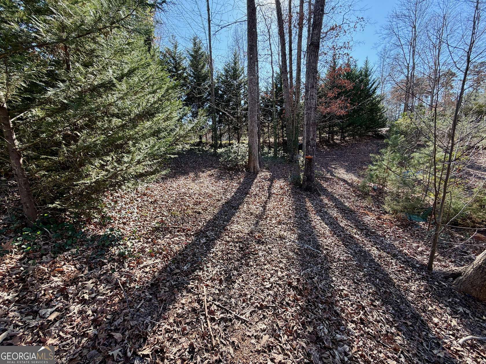 0.54 Acres of Land for Sale in Martin, Georgia