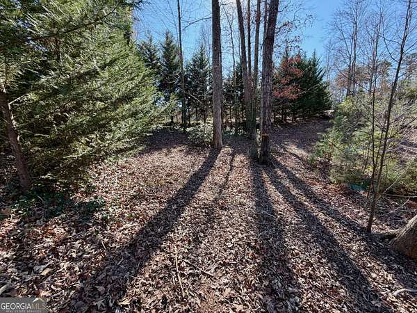 0.54 Acres of Land for Sale in Martin, Georgia