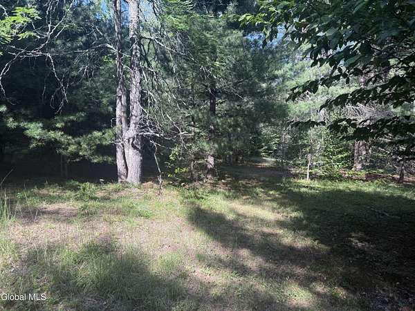 9.45 Acres of Residential Land for Sale in Porter Corners, New York