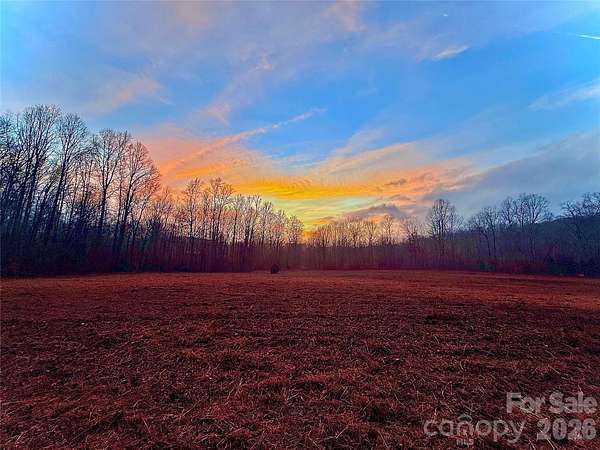 19.9 Acres of Land for Sale in Columbus, North Carolina