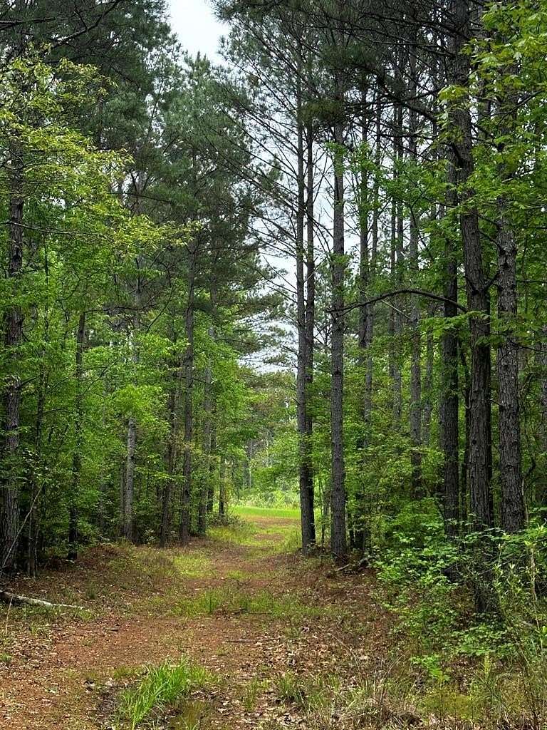 198 Acres of Recreational & Residential Land for Sale in Oxford, Mississippi