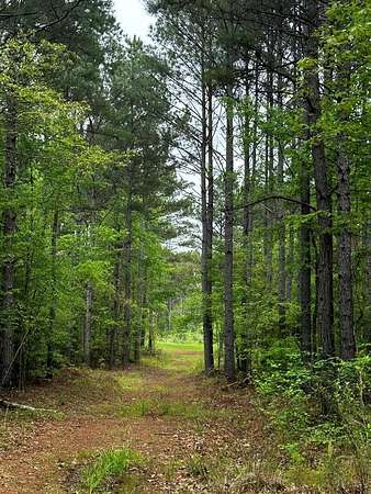 198 Acres of Recreational & Residential Land for Sale in Oxford, Mississippi