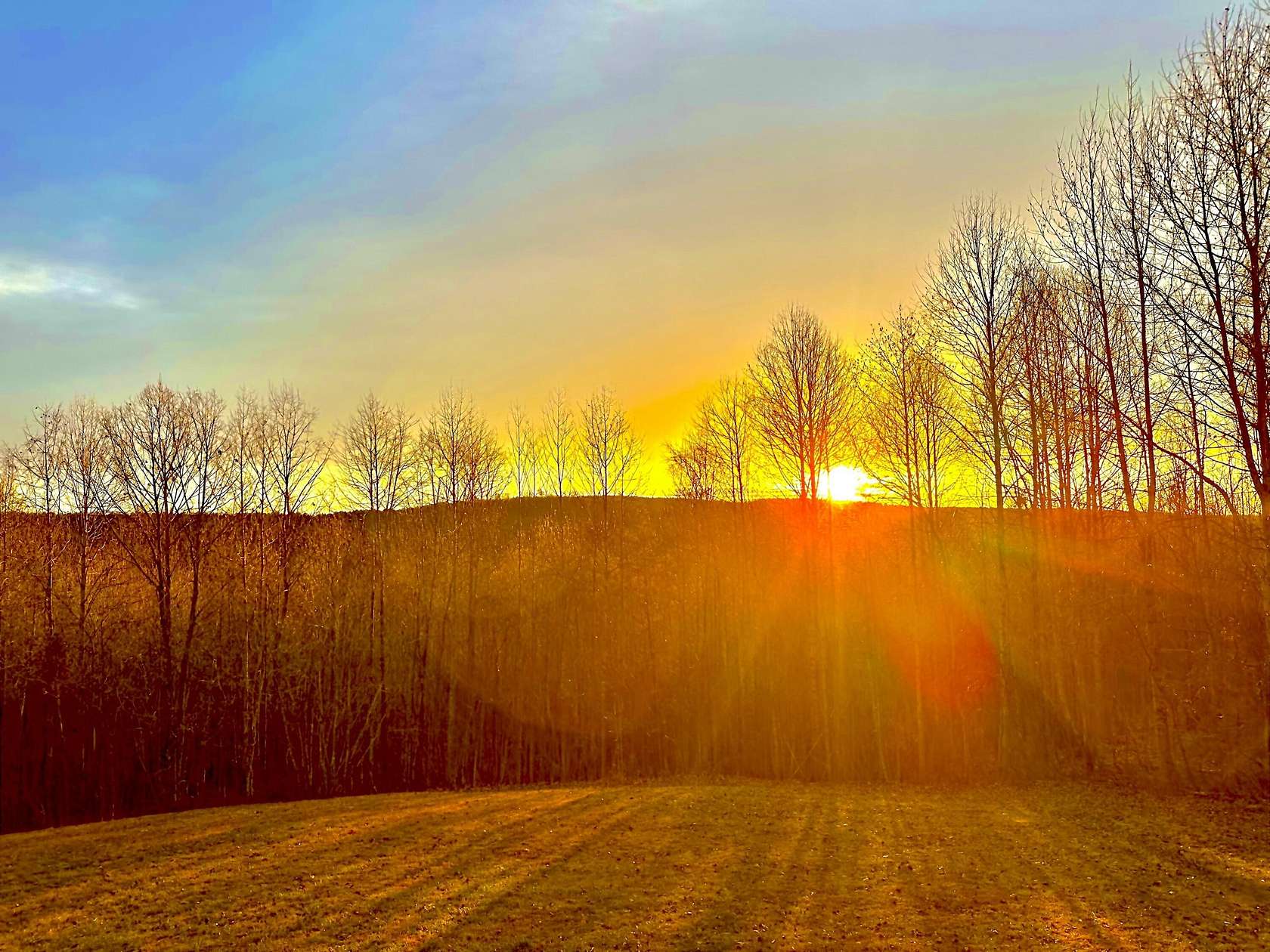 9 Acres of Residential Land with Home for Sale in Signal Mountain, Tennessee