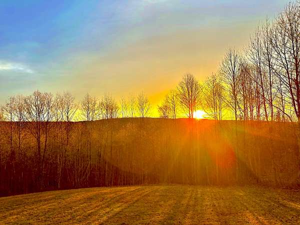 9 Acres of Residential Land with Home for Sale in Signal Mountain, Tennessee