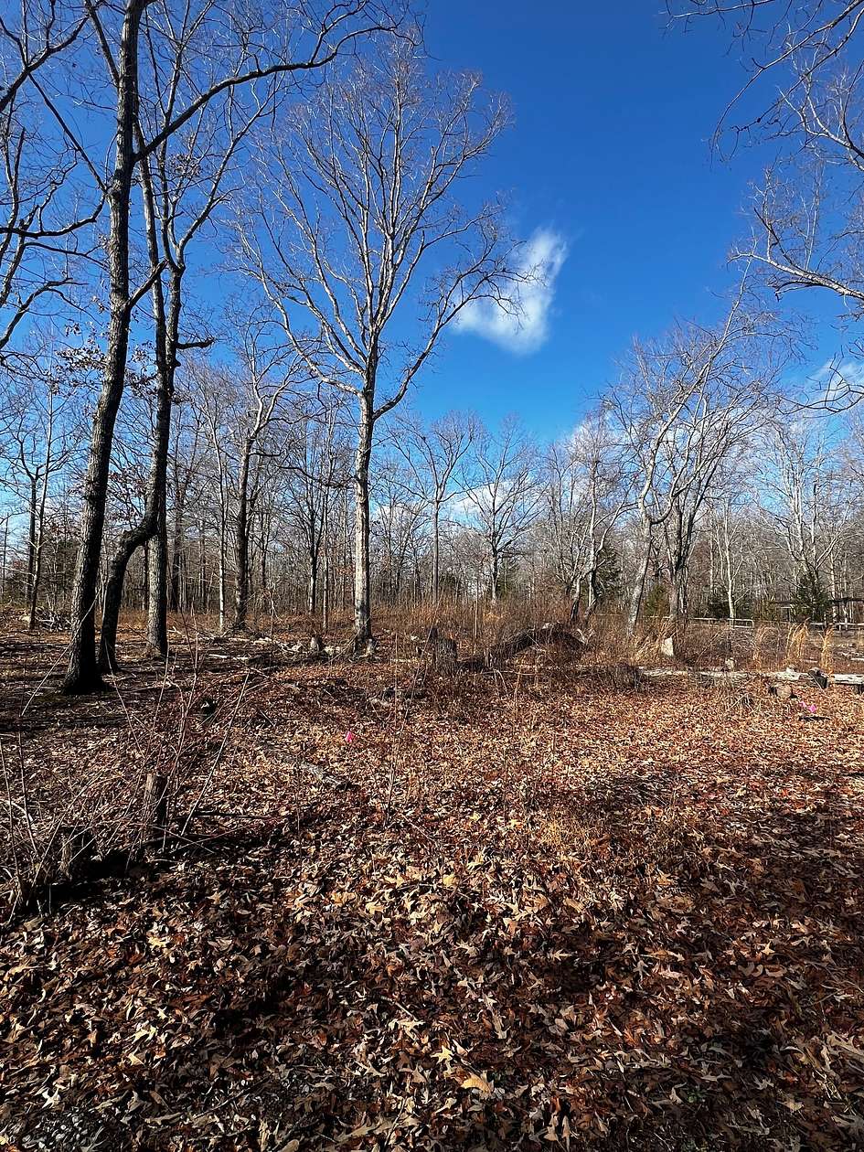 0.43 Acres of Residential Land for Sale in Beechgrove, Tennessee