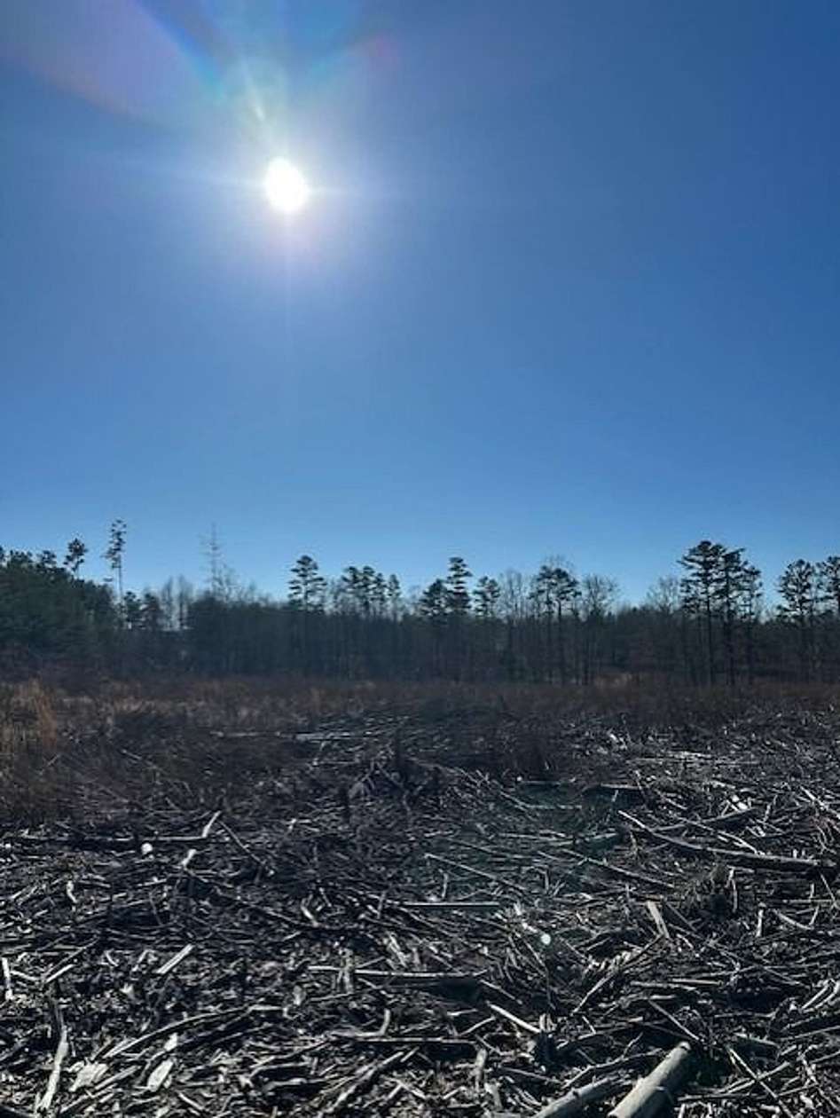 5 Acres of Recreational Land for Sale in Gruetli-Laager, Tennessee