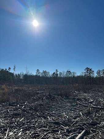 5 Acres of Recreational Land for Sale in Gruetli-Laager, Tennessee