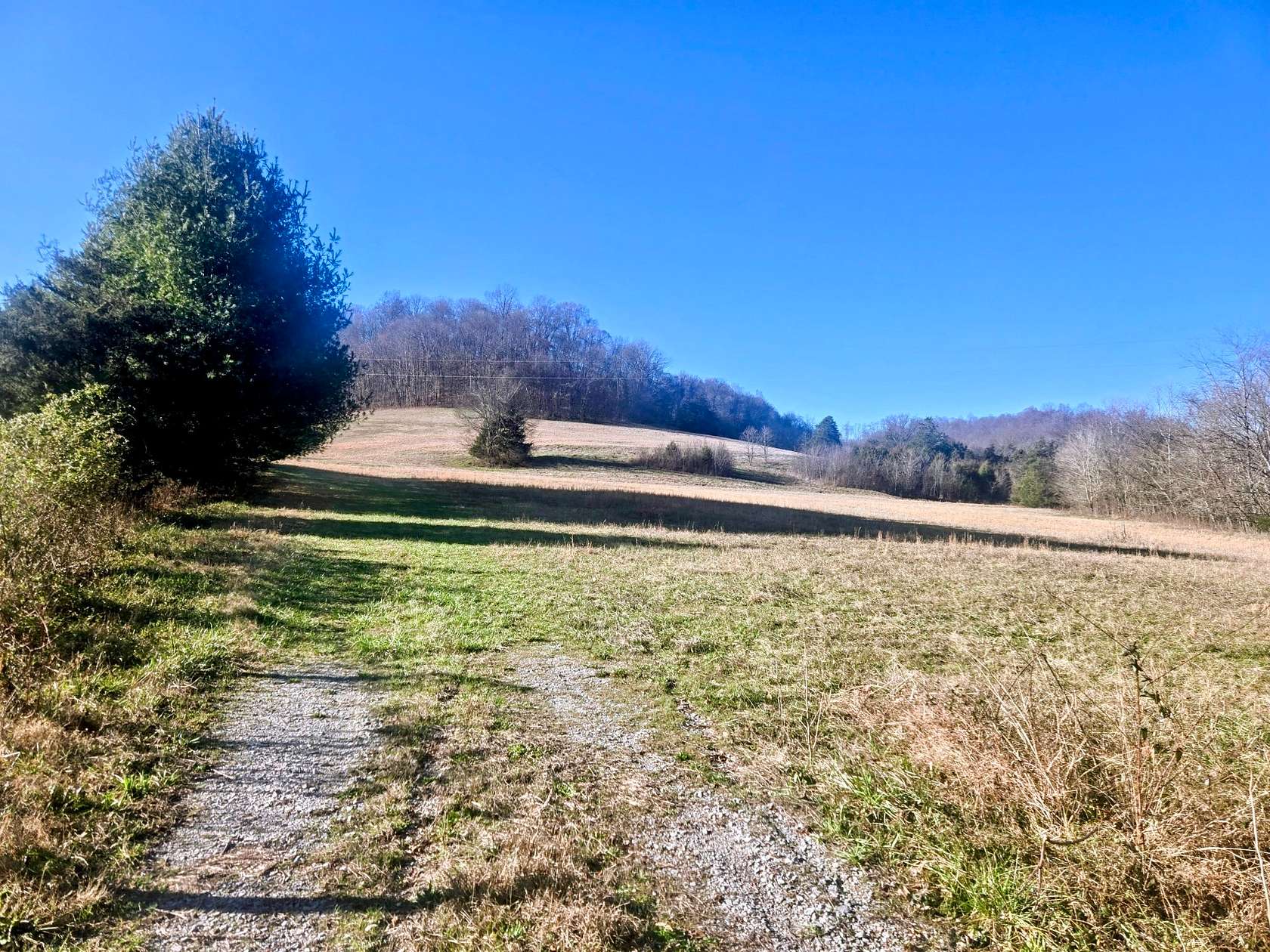 77 Acres of Recreational Land & Farm for Sale in Pulaski, Tennessee