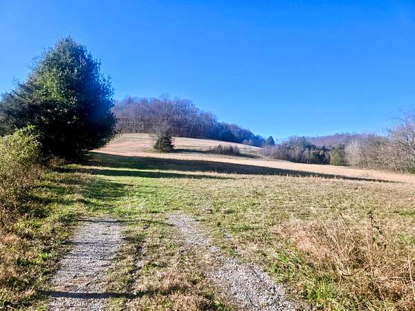 77 Acres of Recreational Land & Farm for Sale in Pulaski, Tennessee
