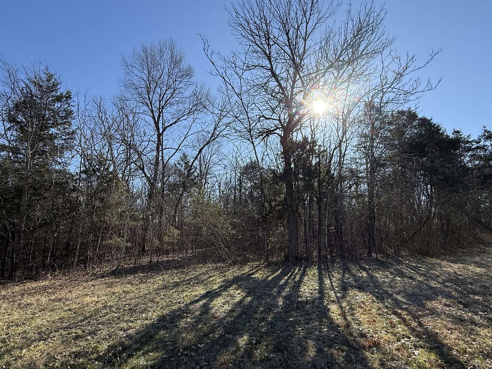 16.8 Acres of Land for Sale in Shelbyville, Tennessee