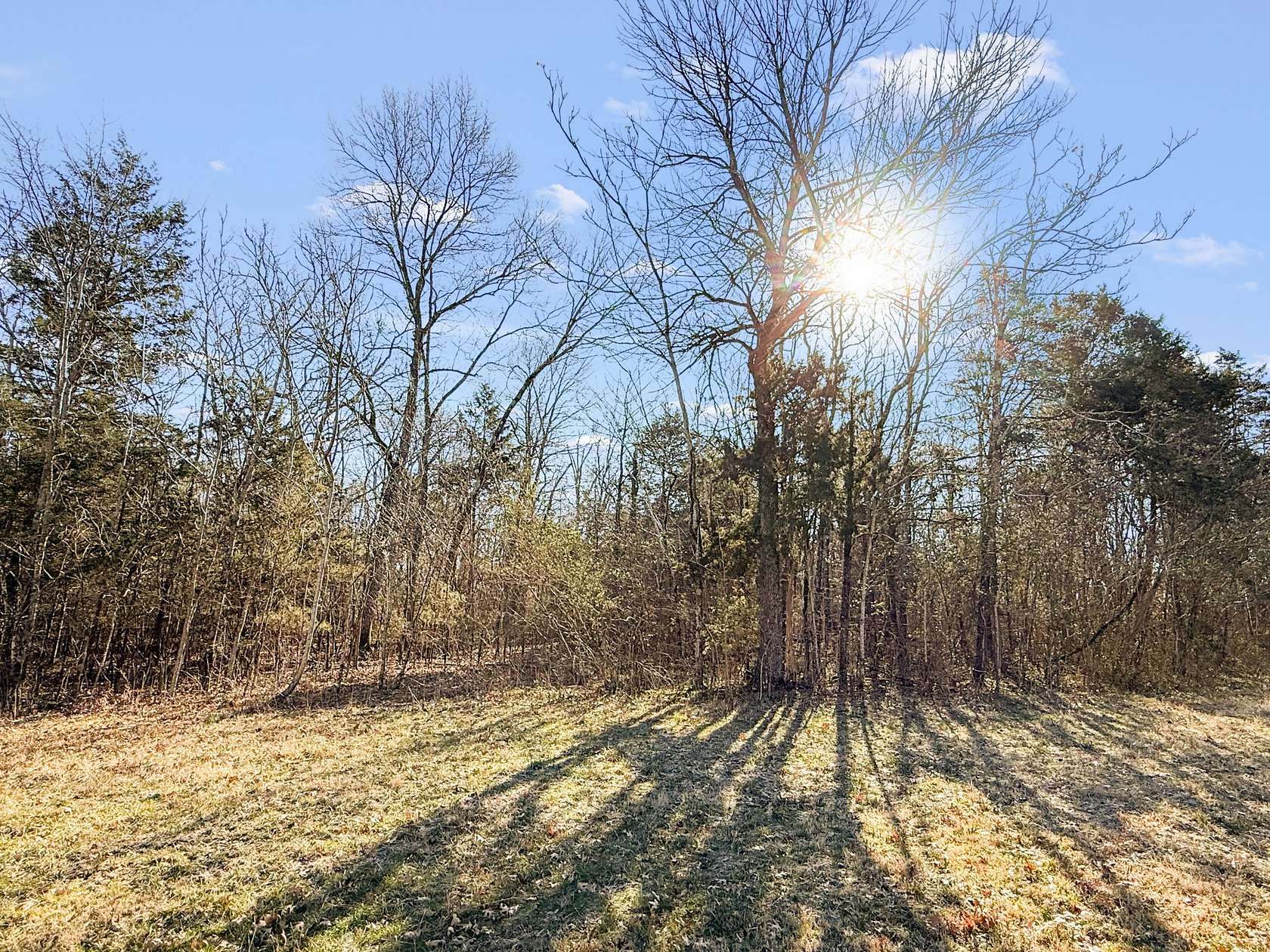 16.8 Acres of Land for Sale in Shelbyville, Tennessee