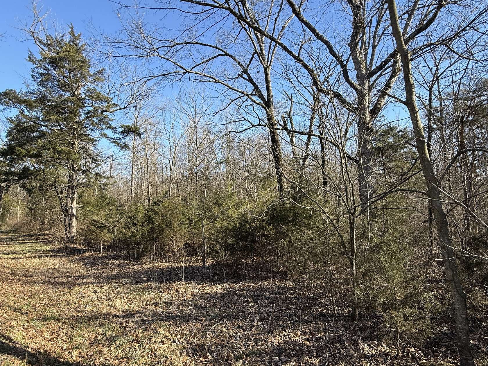8.89 Acres of Land for Sale in Shelbyville, Tennessee
