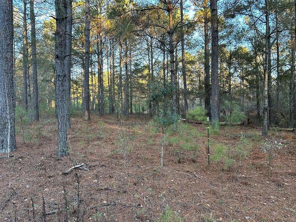 1.22 Acres of Residential Land for Sale in Quitman, Georgia
