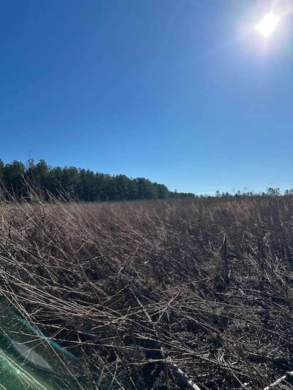 5.26 Acres of Recreational Land for Sale in Gruetli-Laager, Tennessee