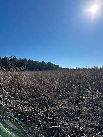 5.26 Acres of Residential Land for Sale in Gruetli-Laager, Tennessee