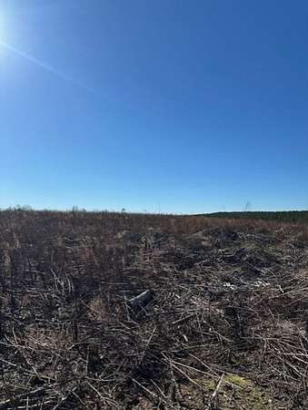 5.79 Acres of Recreational Land for Sale in Gruetli-Laager, Tennessee