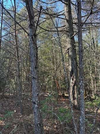 6.7 Acres of Residential Land for Sale in Gruetli-Laager, Tennessee