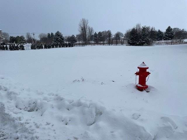 0.47 Acres of Residential Land for Sale in Plainfield, Illinois