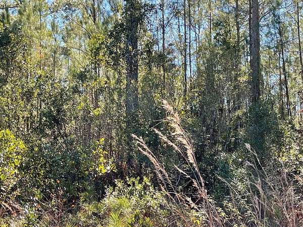 1.12 Acres of Residential Land for Sale in Waynesville, Georgia