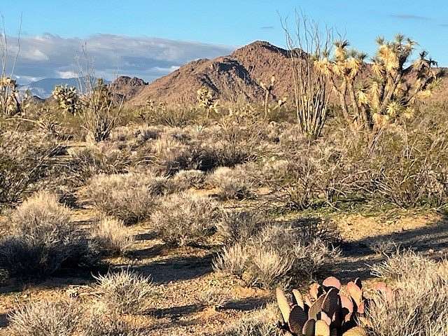 40 Acres of Recreational Land for Sale in Yucca, Arizona