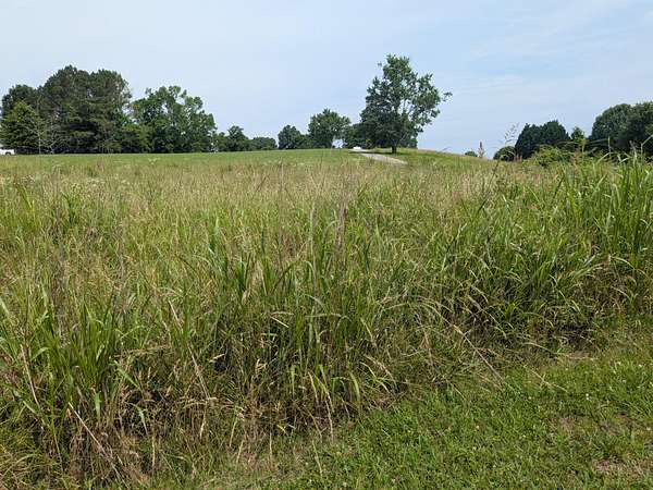 5 Acres of Residential Land for Sale in Dayton, Tennessee