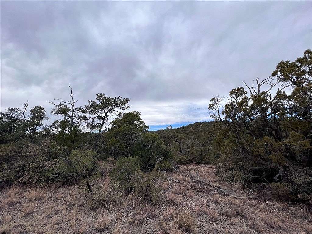 40 Acres of Land for Sale in Truxton, Arizona