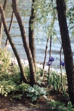 Residential Land for Sale in Doniphan, Nebraska