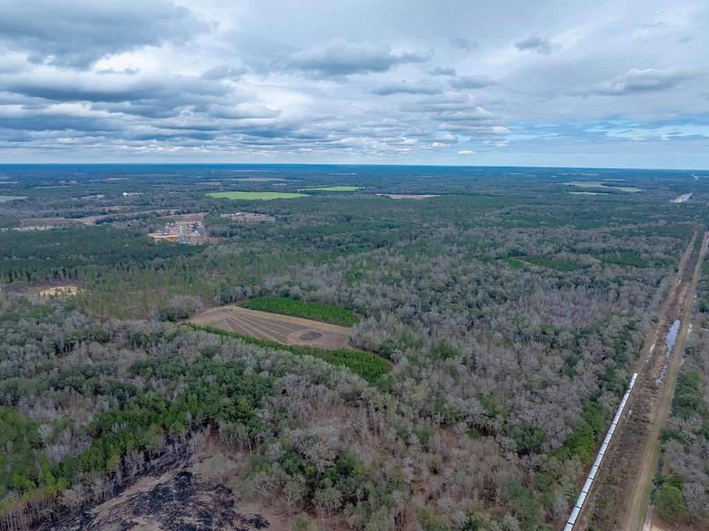 188 Acres of Recreational & Residential Land for Sale in Albany, Georgia
