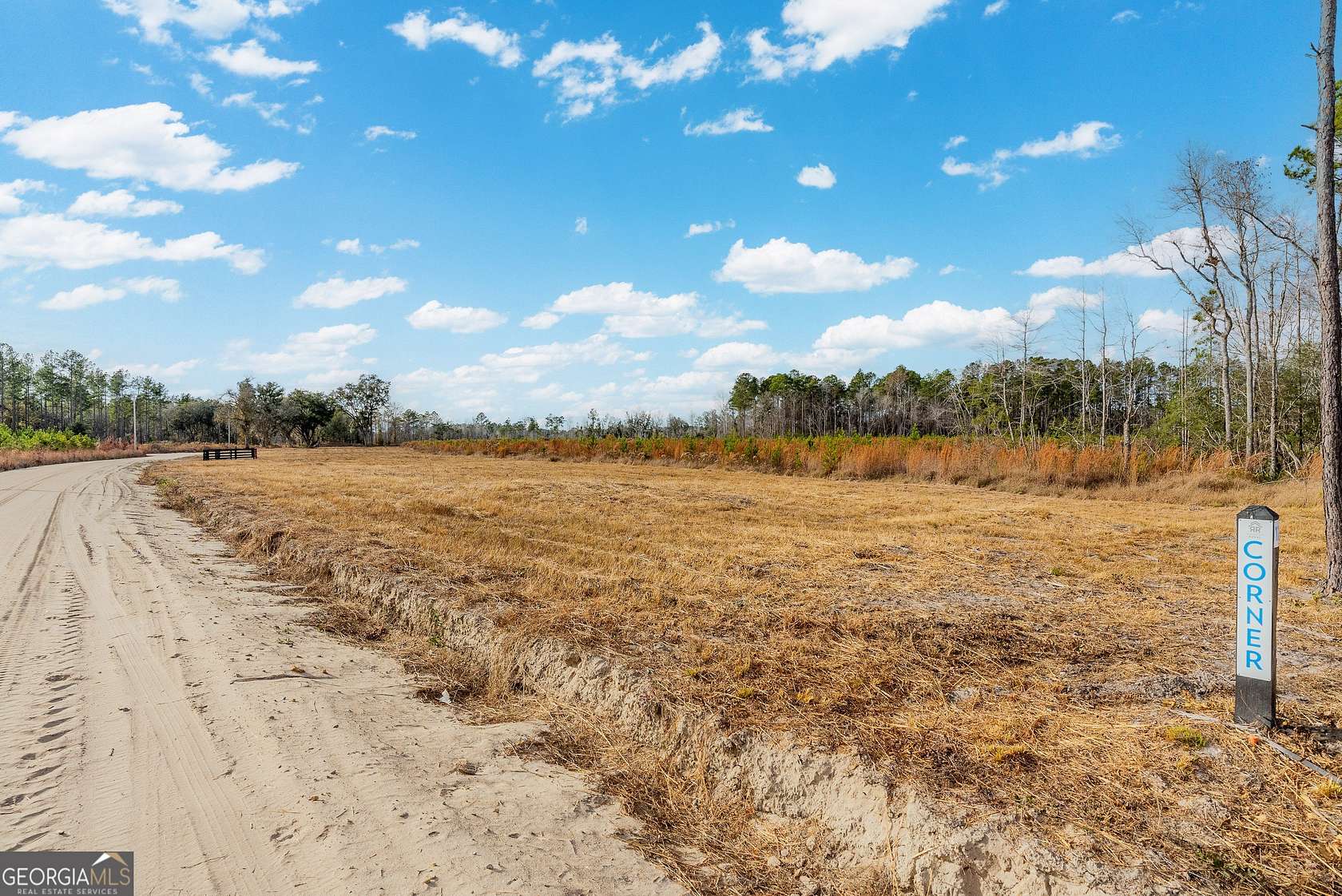 9.87 Acres of Agricultural Land for Sale in Brooklet, Georgia