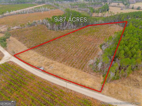 9.87 Acres of Agricultural Land for Sale in Brooklet, Georgia