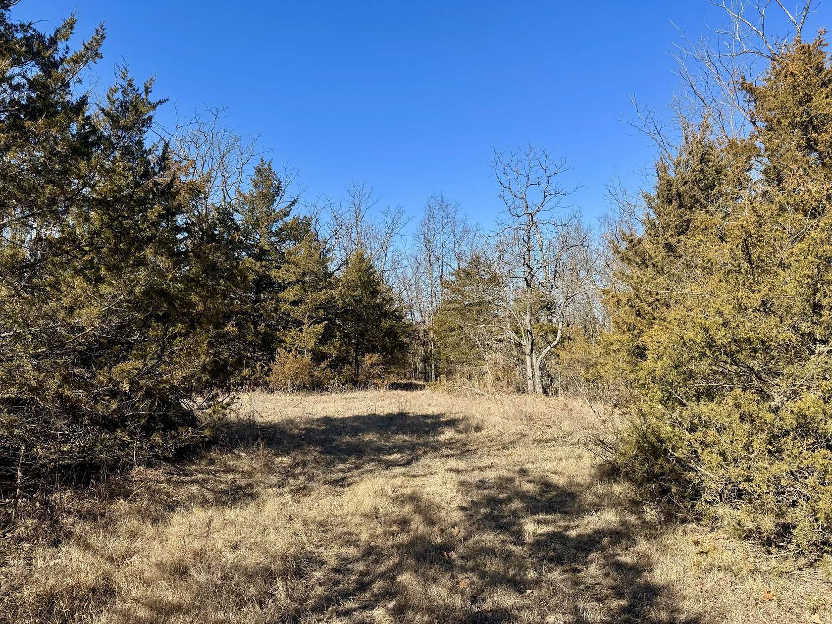 31.1 Acres of Recreational Land for Sale in Macomb, Missouri